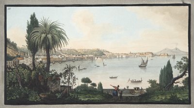 View of Naples taken from Pausilipo, Plate III, from 